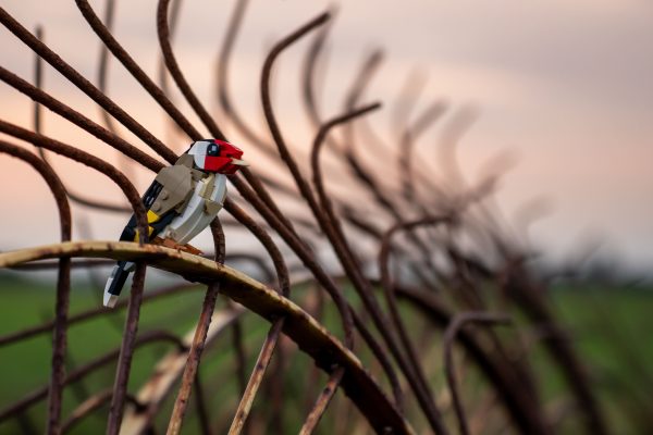 Bring Nature Home — The SKABRAM Bird Collection