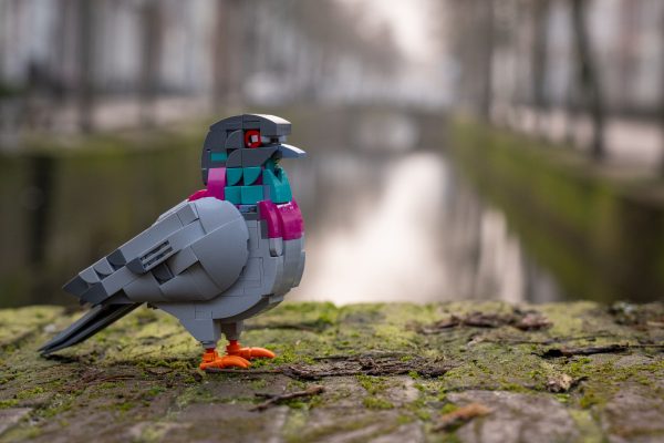 Bring Nature Home — The SKABRAM Bird Collection