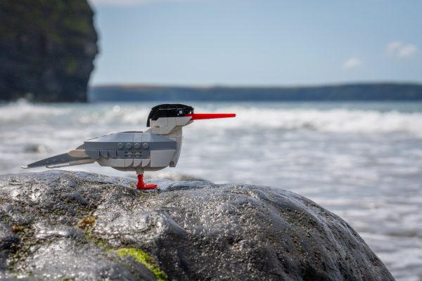 Bring Nature Home — The SKABRAM Bird Collection