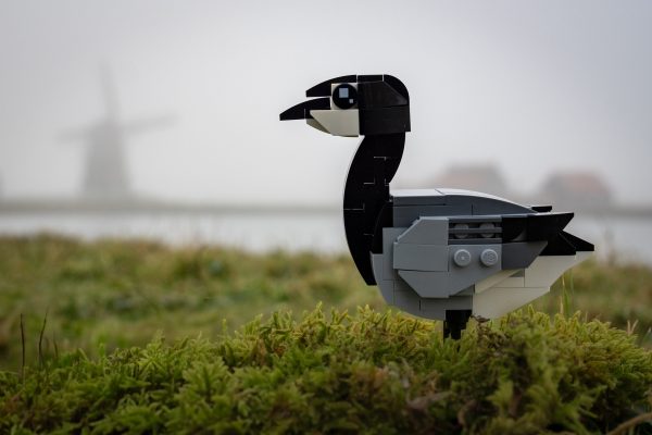 Bring Nature Home — The SKABRAM Bird Collection