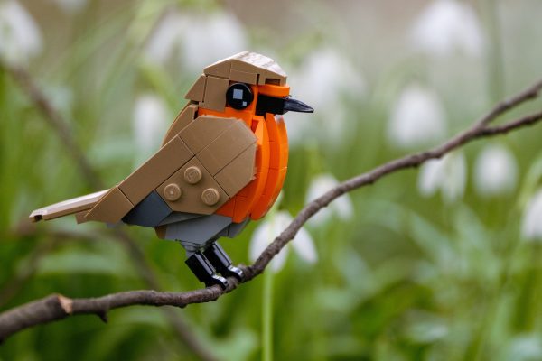 Bring Nature Home — The SKABRAM Bird Collection