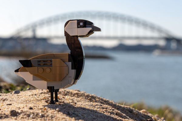 Bring Nature Home — The SKABRAM Bird Collection