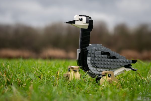 Bring Nature Home — The SKABRAM Bird Collection